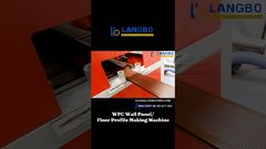 Linha de Extrusão de Perfis WPC para Produtos de Plástico de Madeira de Alta Qualidade #paineldeparedeWPC#painelWPC